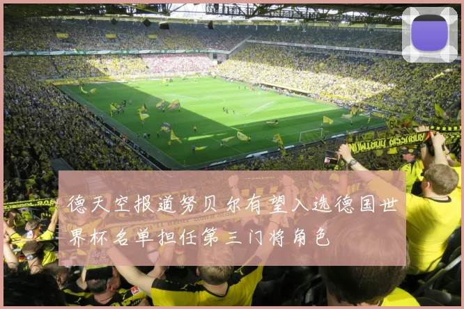 德天空报道努贝尔有望入选德国世界杯名单担任第三门将角色